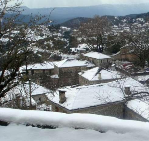 Traditional Guesthouse Alkistis Zagori Eksteriør bilde